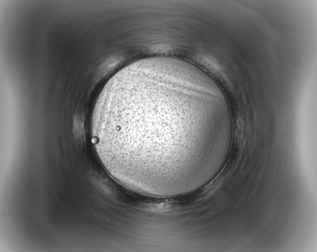 X0000085070116200703191310