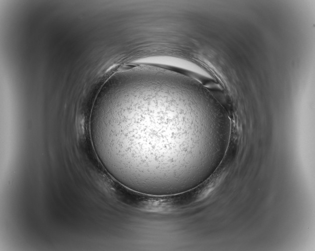 X0000085070117200703191310