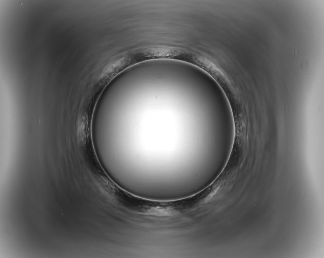 X0000085070119200703191310