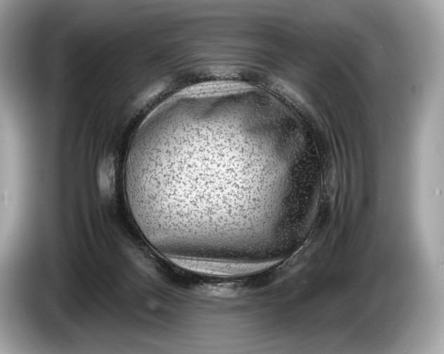 X0000085070120200703191310