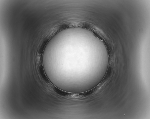 X0000085070121200703191310