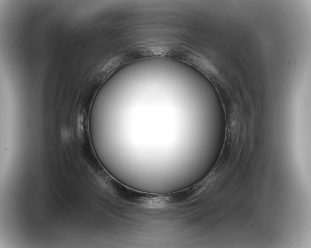 X0000085070122200703191310