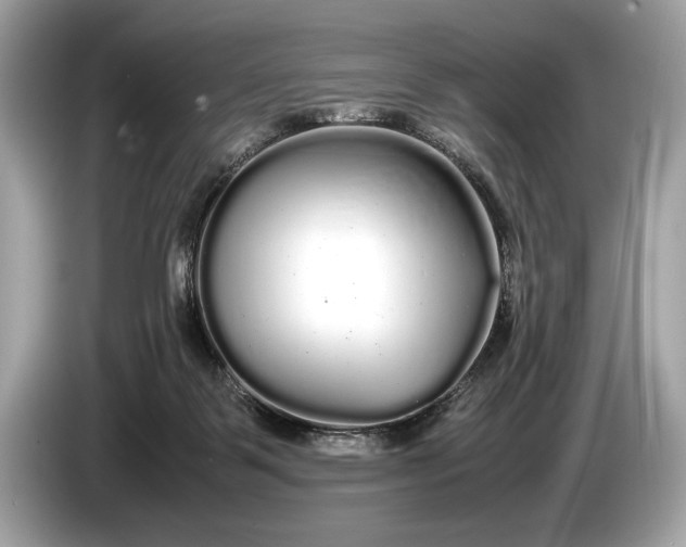 X0000085070123200703191310