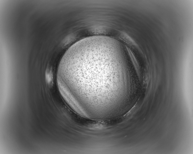 X0000085070124200703191310