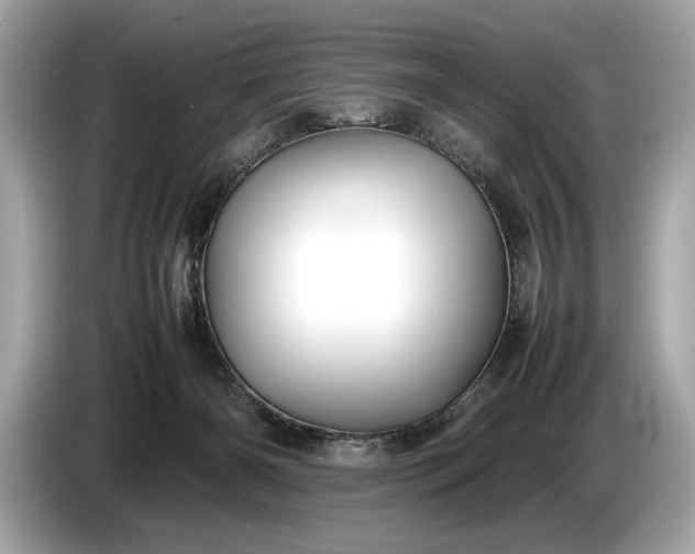 X0000085070126200703191310