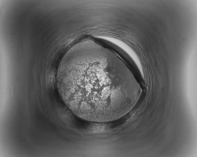 X0000085070127200703191310