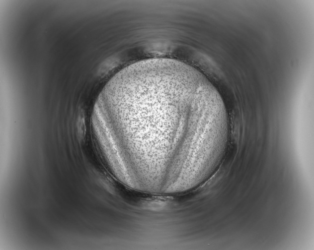 X0000085070128200703191310