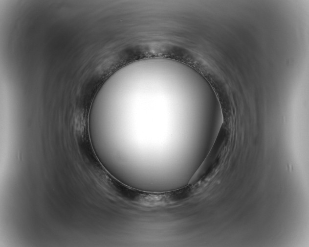 X0000085070129200703191310