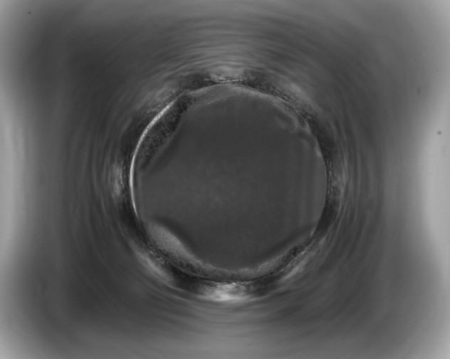 X0000085070130200703191310