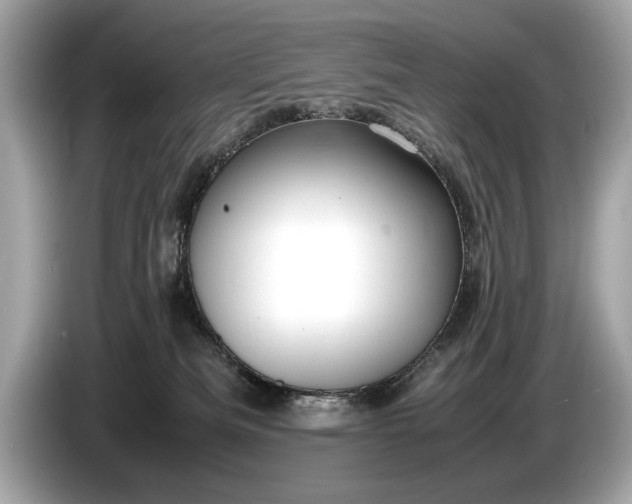 X0000085070133200703191310