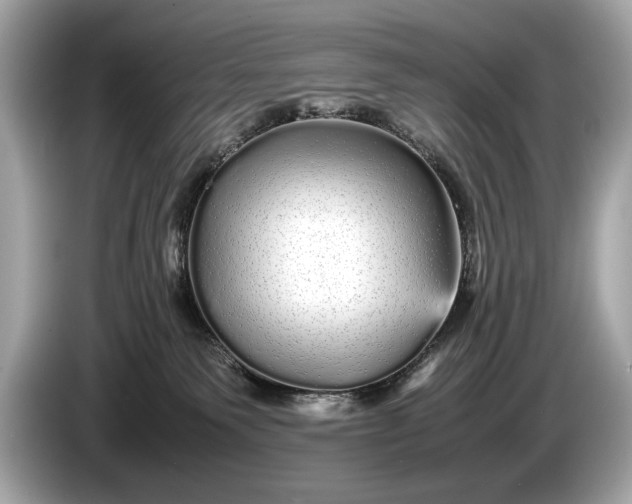 X0000085070135200703191310