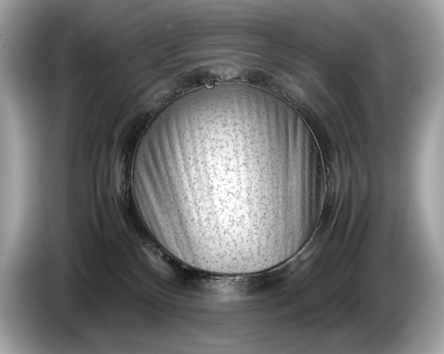 X0000085070136200703191310