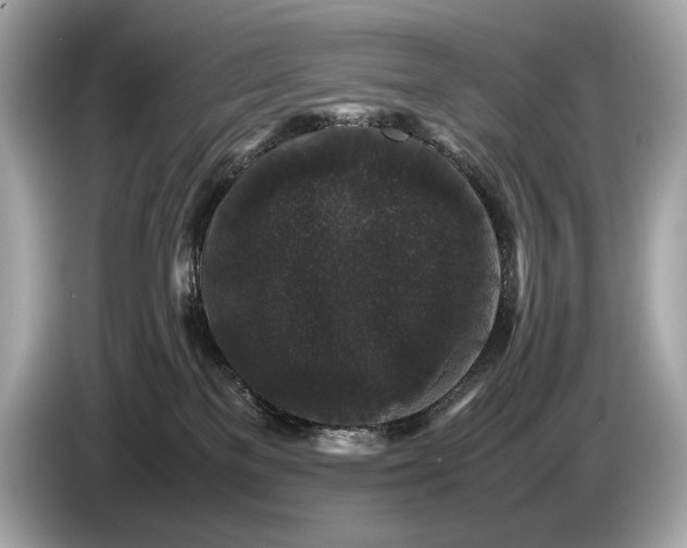 X0000085070137200703191310