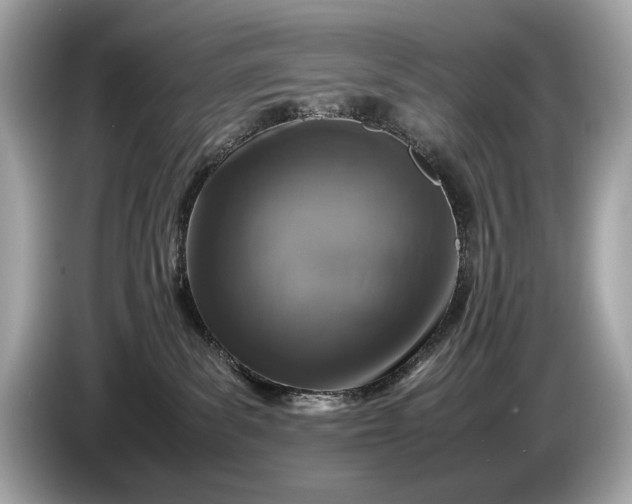 X0000085070139200703191310