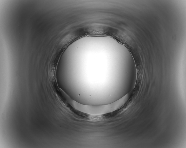 X0000085070141200703191310