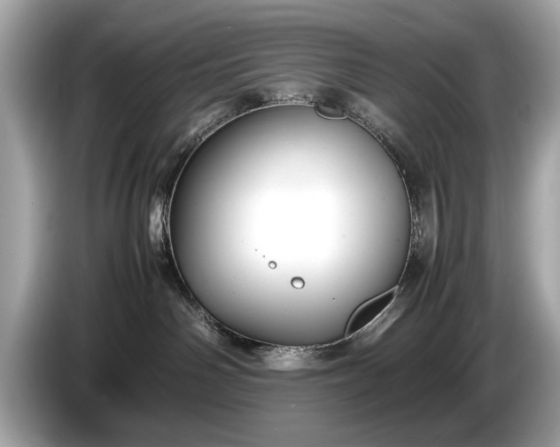 X0000085070142200703191310