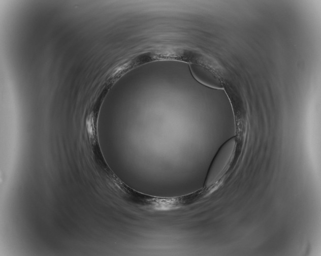 X0000085070143200703191310