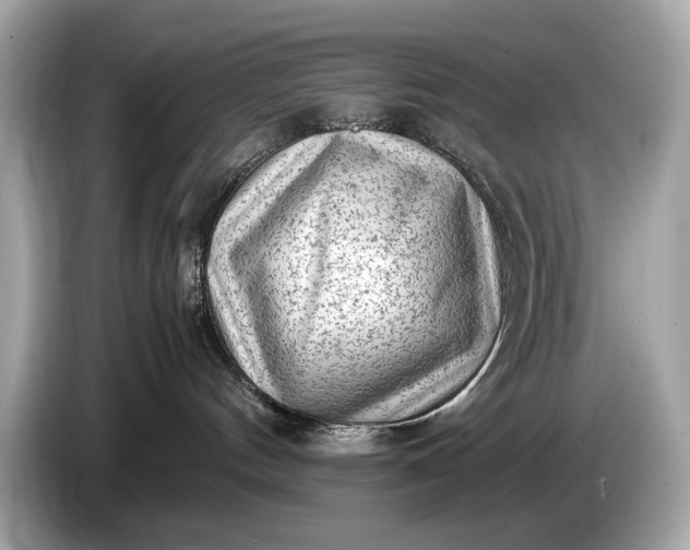 X0000085070144200703191310