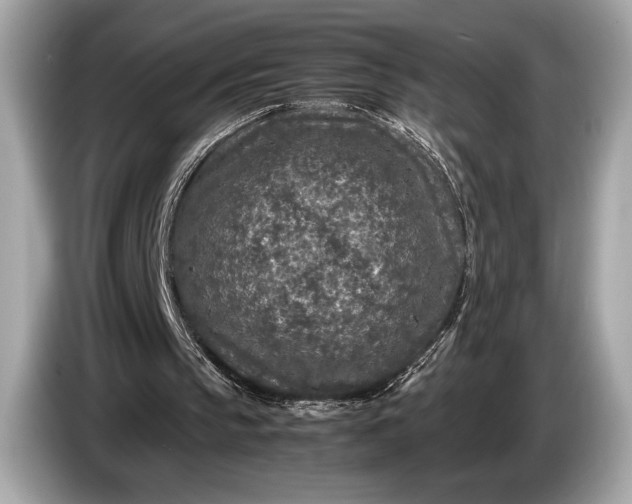 X0000085070145200703191309