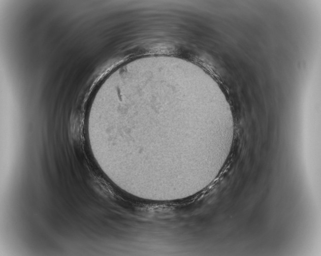 X0000085070146200703191309