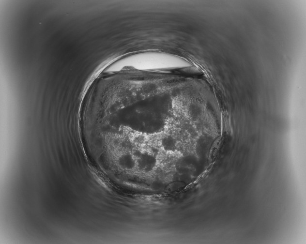 X0000085070147200703191309