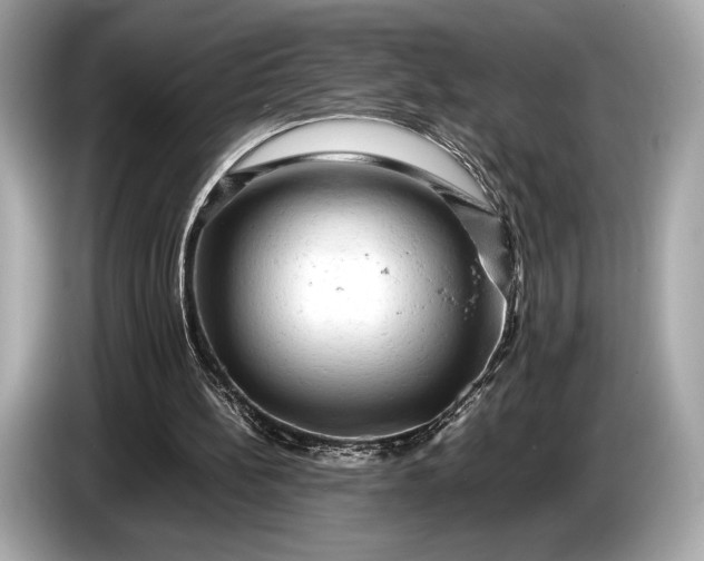 X0000085070148200703191309