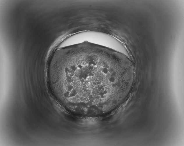 X0000085070149200703191309