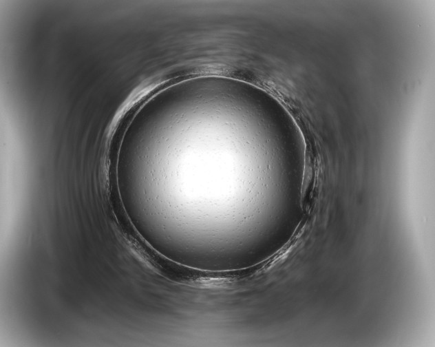 X0000085070150200703191309