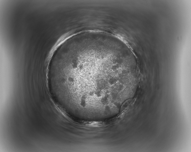 X0000085070151200703191309