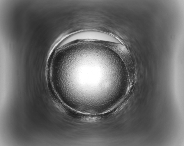 X0000085070152200703191309