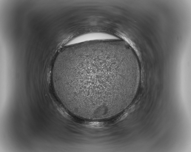 X0000085070153200703191309