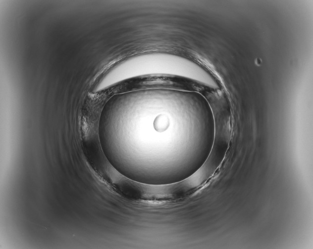 X0000085070154200703191309