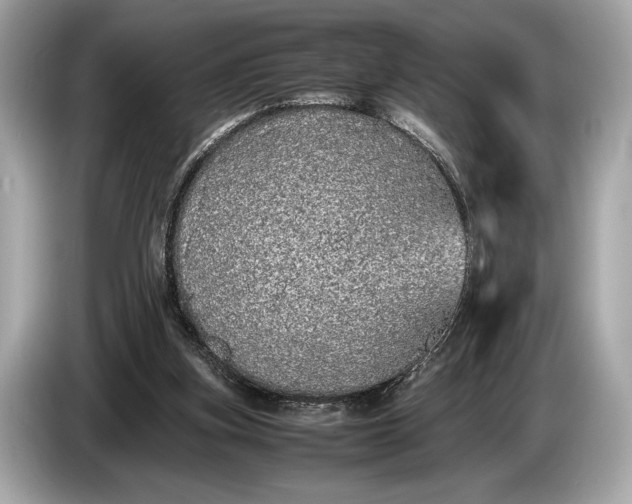 X0000085070155200703191309