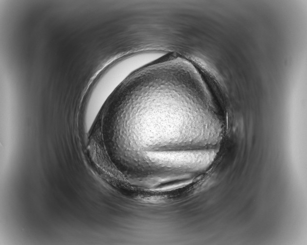 X0000085070156200703191309