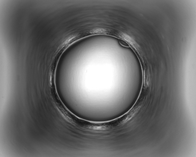 X0000085070157200703191309