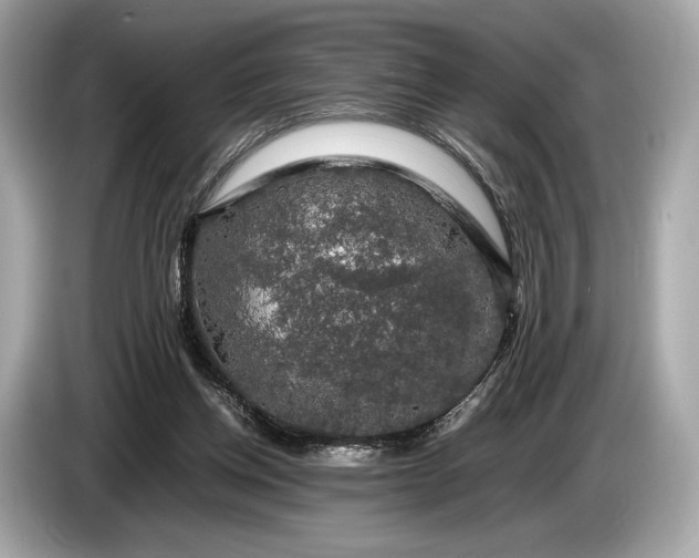 X0000085070158200703191309