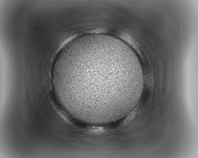 X0000085070159200703191309