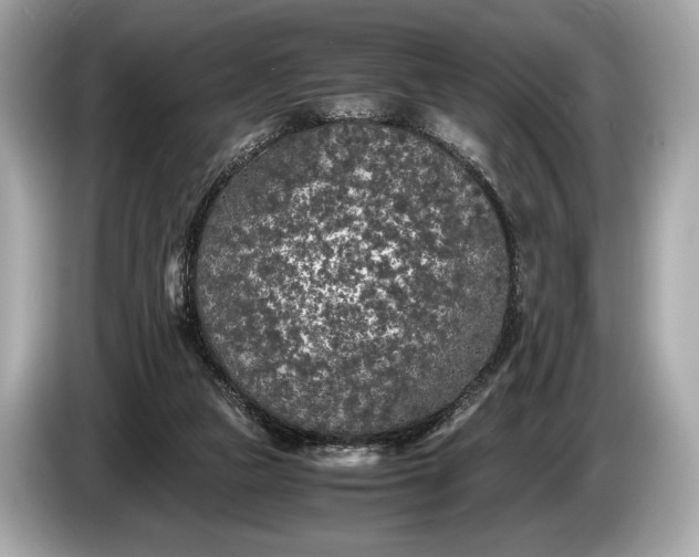 X0000085070161200703191309