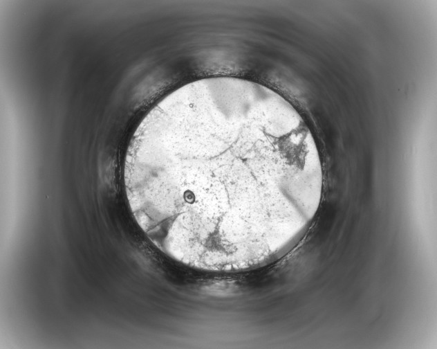 X0000085070162200703191309