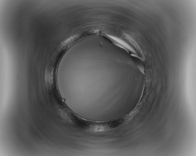 X0000085070163200703191309