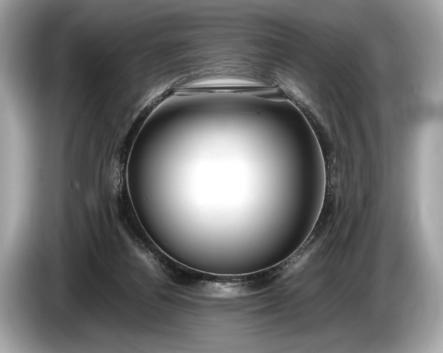 X0000085070164200703191309