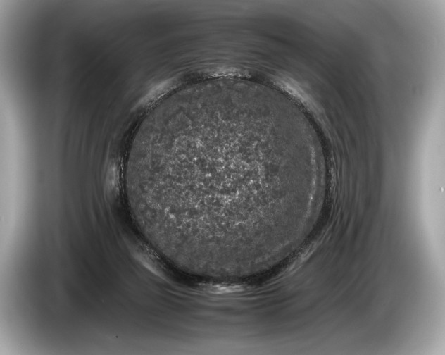 X0000085070165200703191309