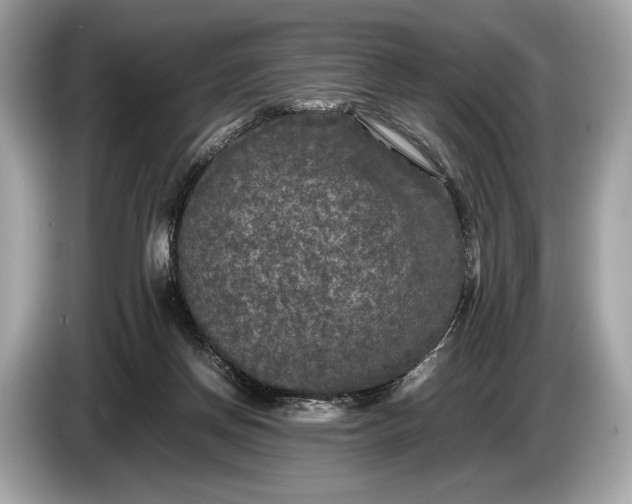 X0000085070166200703191309