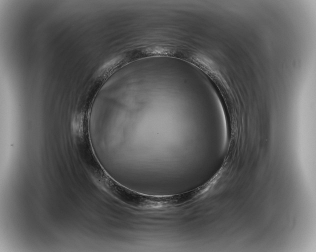 X0000085070167200703191309