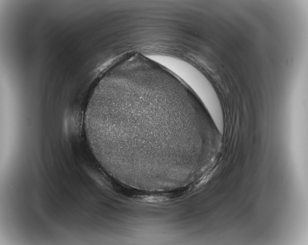 X0000085070168200703191309