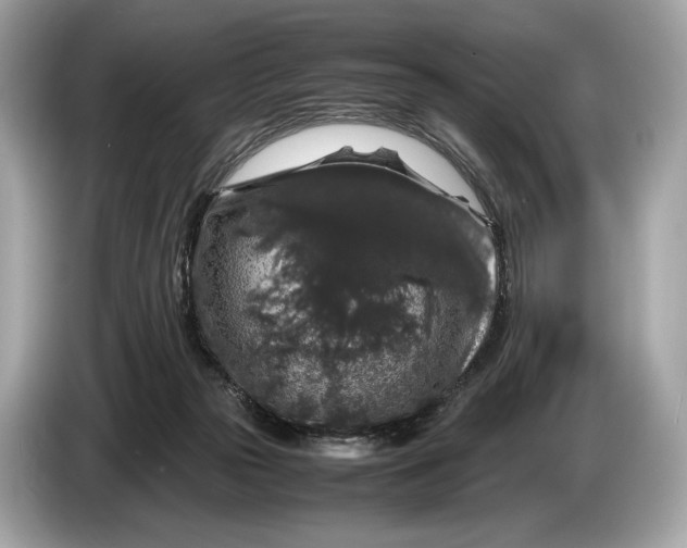 X0000085070169200703191309