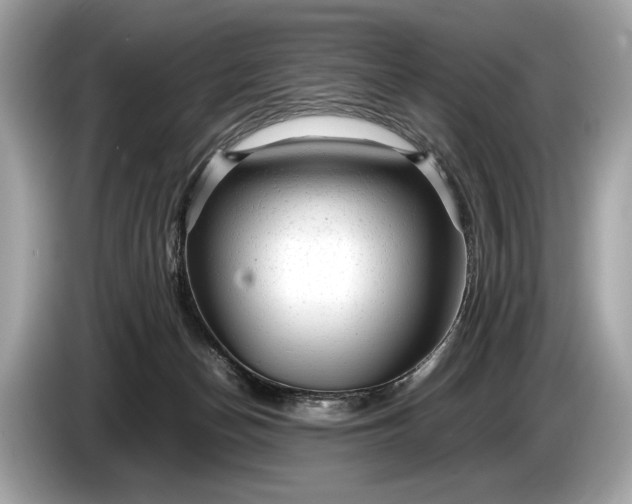 X0000085070174200703191309