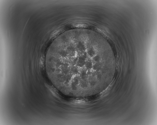 X0000085070175200703191309