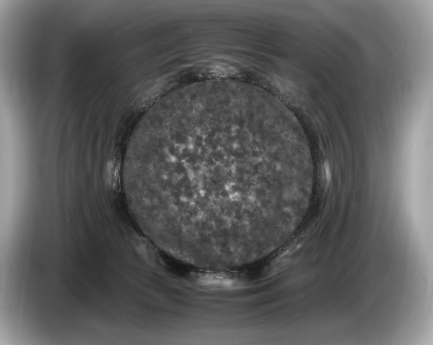 X0000085070177200703191309