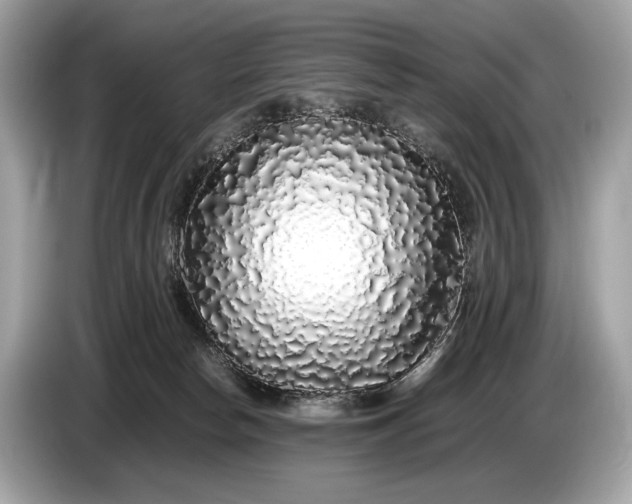 X0000085070178200703191309